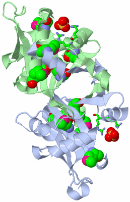 Image Asym./Biol. Unit - sites