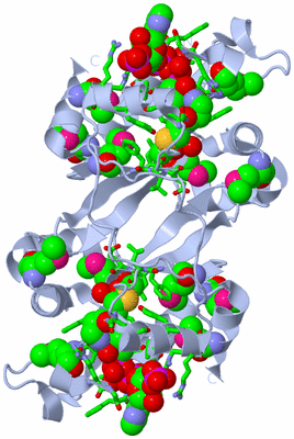 Image Biol. Unit 1 - sites