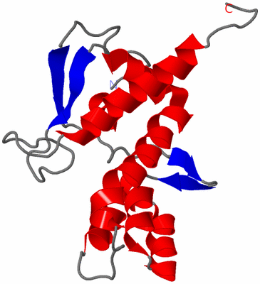 Image NMR Structure - model 1