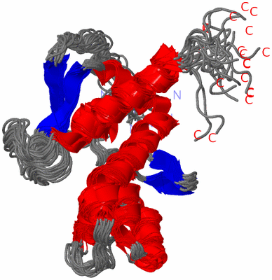 Image NMR Structure - all models