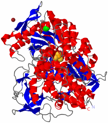 Image Asym./Biol. Unit