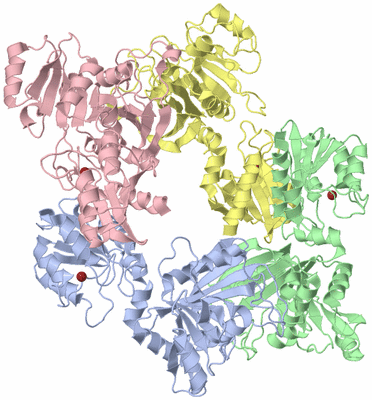 Image Asym./Biol. Unit