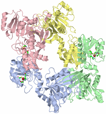 Image Asym./Biol. Unit - sites