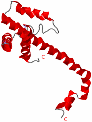 Image Asymmetric Unit