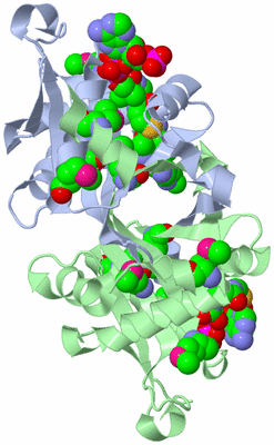 Image Asym./Biol. Unit