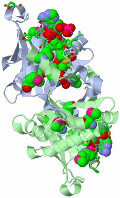 Image Asym./Biol. Unit - sites