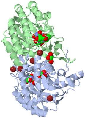 Image Biological Unit 1