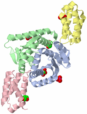 Image Biological Unit 1