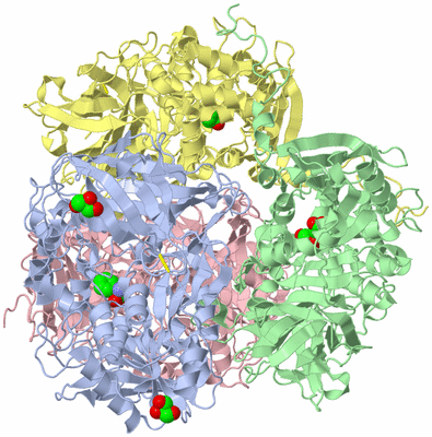 Image Asym./Biol. Unit