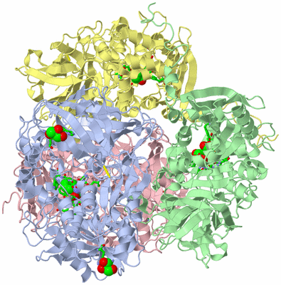 Image Asym./Biol. Unit - sites