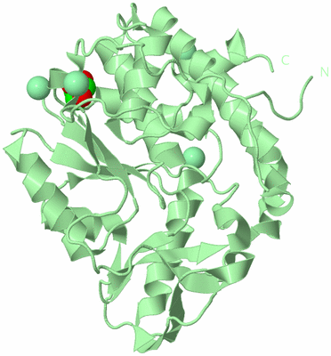 Image Biological Unit 2