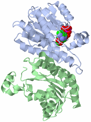 Image Biological Unit 1