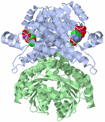 Image Biological Unit 2