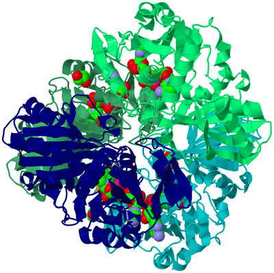 Image Asym./Biol. Unit