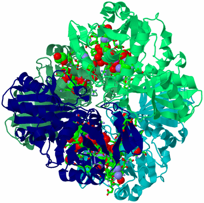 Image Asym./Biol. Unit - sites