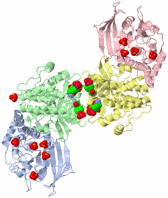 Image Asym./Biol. Unit