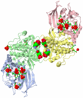 Image Asym./Biol. Unit - sites