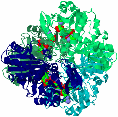 Image Asym./Biol. Unit