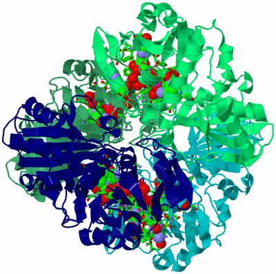 Image Asym./Biol. Unit - sites