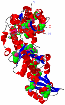 Image Asym./Biol. Unit - sites