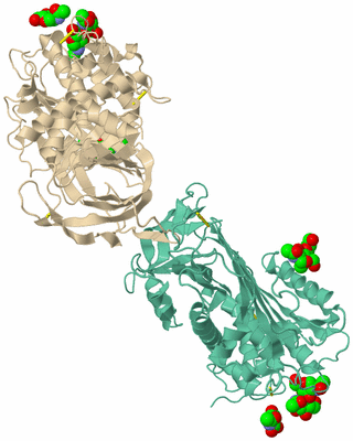 Image Asym./Biol. Unit