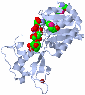 Image Biological Unit 1