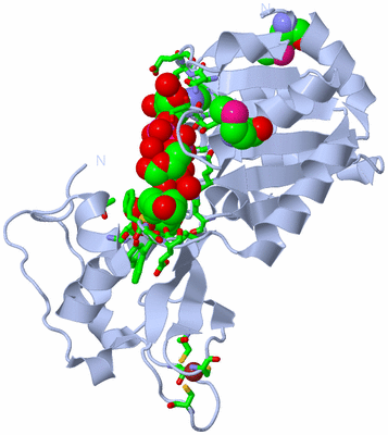 Image Biol. Unit 1 - sites