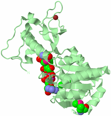 Image Biological Unit 2