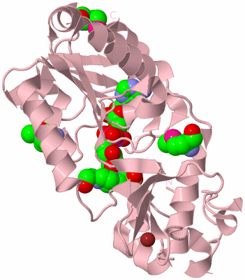 Image Biological Unit 3