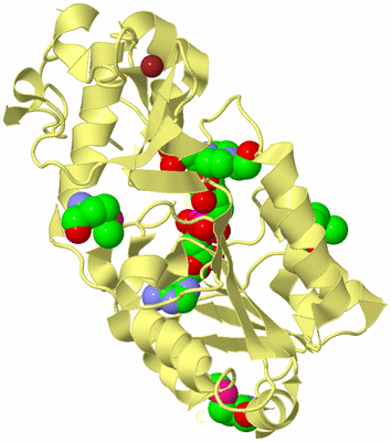 Image Biological Unit 4