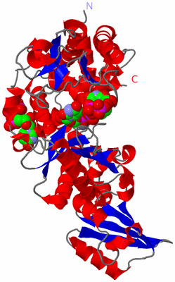 Image Asym./Biol. Unit