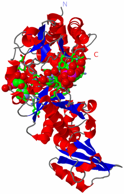 Image Asym./Biol. Unit - sites