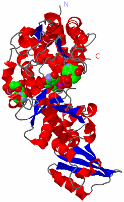 Image Asym./Biol. Unit