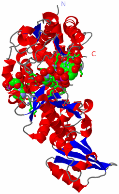 Image Asym./Biol. Unit - sites