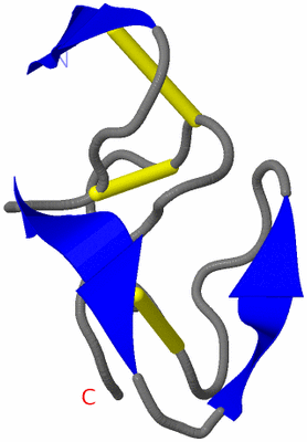 Image NMR Structure - model 1
