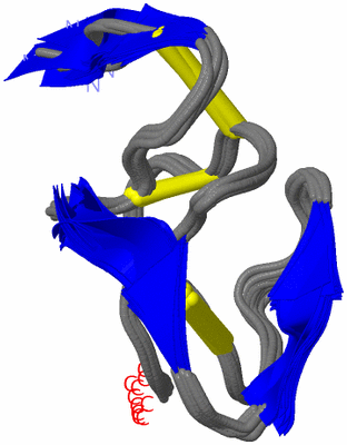 Image NMR Structure - all models