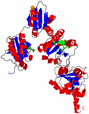 Image Asym./Biol. Unit - sites