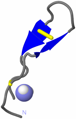 Image NMR Structure - model 1
