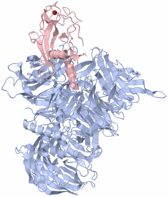 Image Biological Unit 1