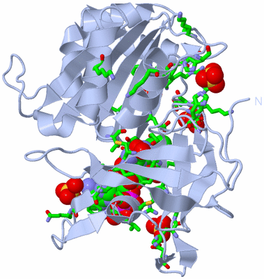 Image Biol. Unit 1 - sites