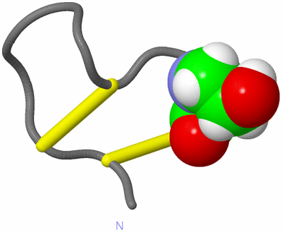 Image NMR Structure - model 1