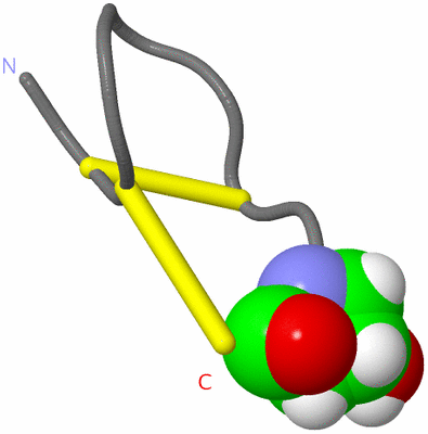 Image NMR Structure - model 1