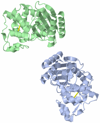 Image Biological Unit 1