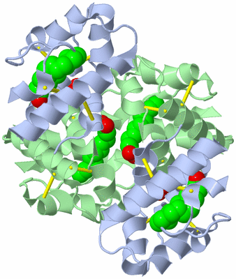 Image Biological Unit 3