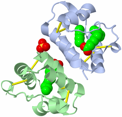 Image Biological Unit 4