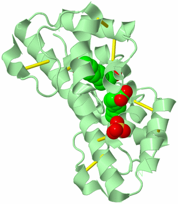 Image Biological Unit 5