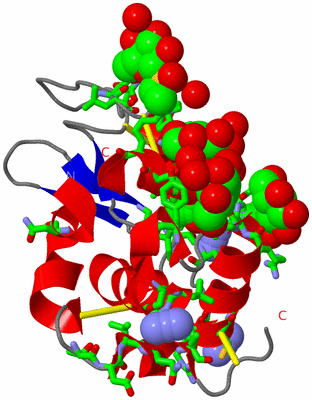 Image Asym./Biol. Unit - sites