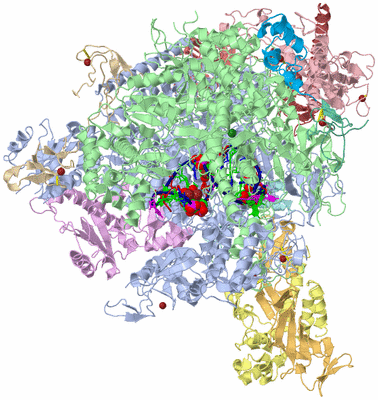 Image Asym./Biol. Unit