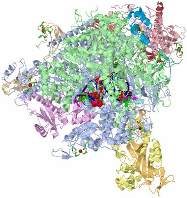 Image Asym./Biol. Unit - sites