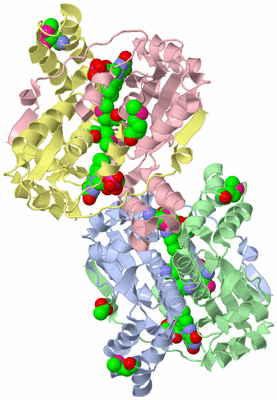 Image Asymmetric Unit